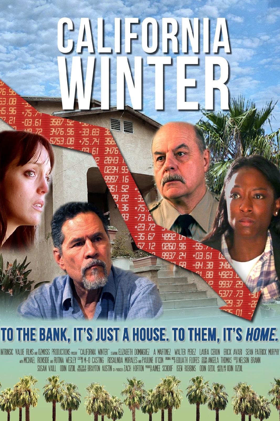 Постер California Winter